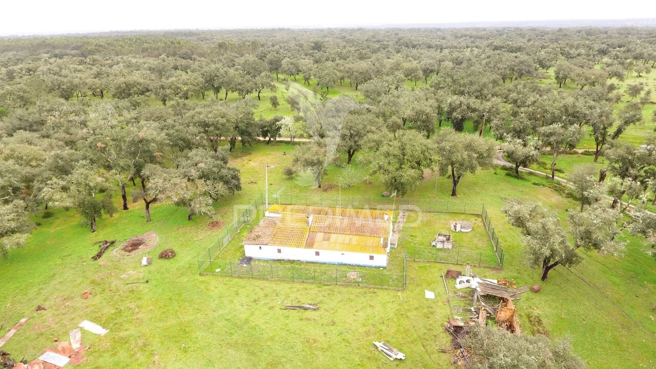 Quinta T3 para Venda em São Domingos e Vale de Água Foto 12