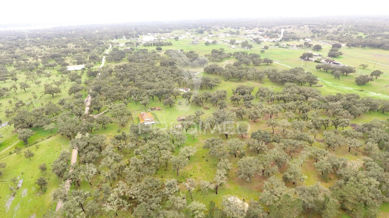 Quinta T3 para Venda em São Domingos e Vale de Água Foto 15
