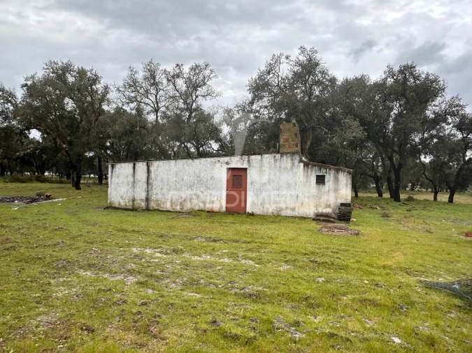 Quinta T3 para Venda em São Domingos e Vale de Água Foto 19