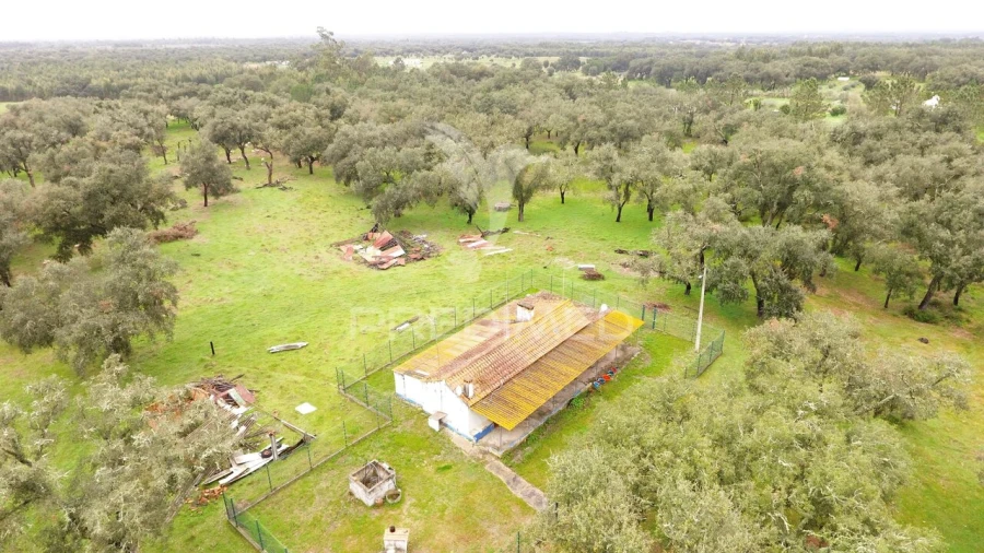 Quinta T3 para Venda em São Domingos e Vale de Água Foto 13