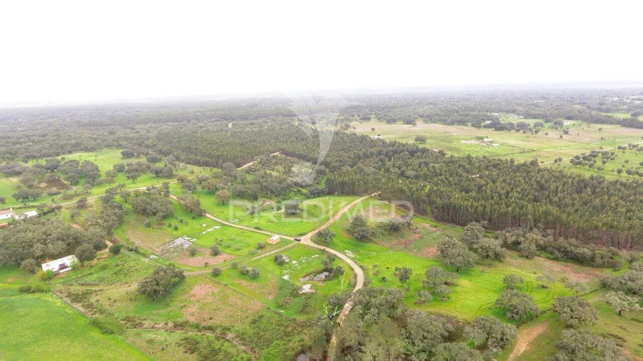 Terreno para Venda em São Domingos e Vale de Água Foto 5