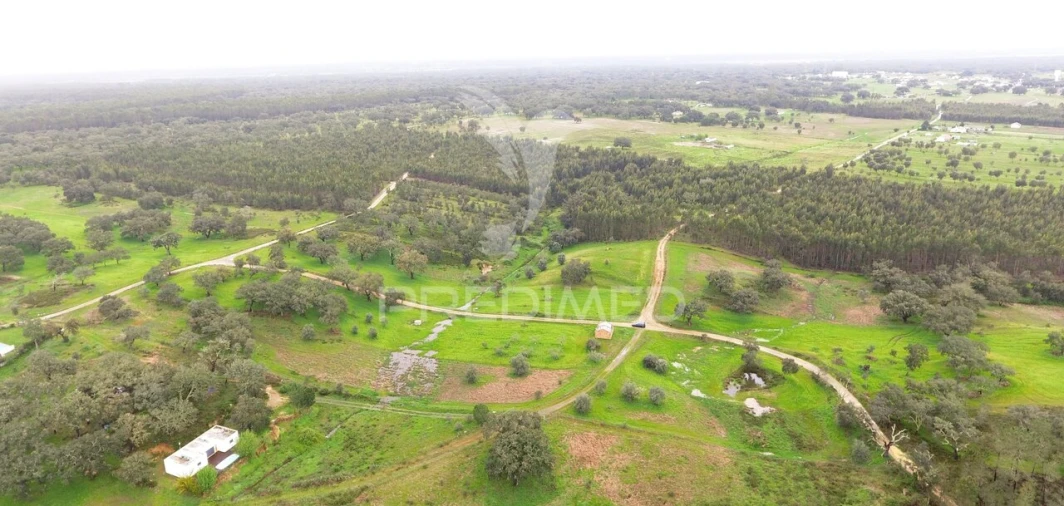 Terreno para Venda em São Domingos e Vale de Água Foto 7