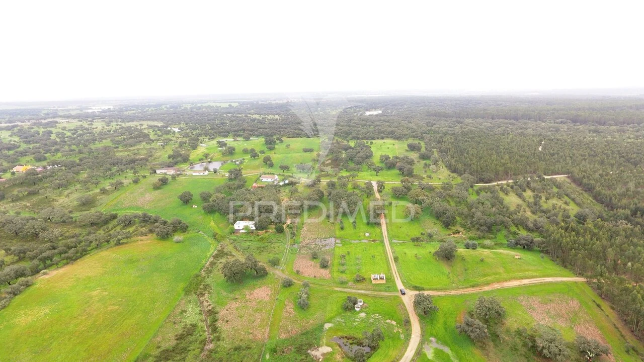 Terreno para Venda em São Domingos e Vale de Água Foto 4