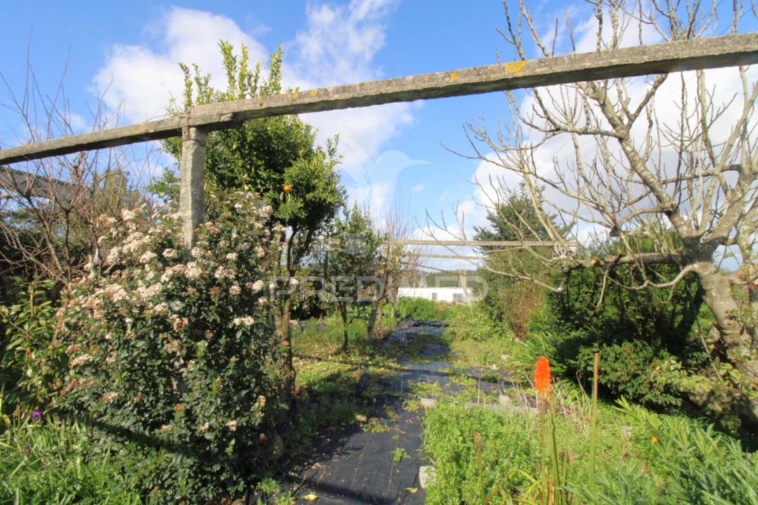 Moradia T4 para Venda em Coronado (São Romão e São Mamede) Foto 28