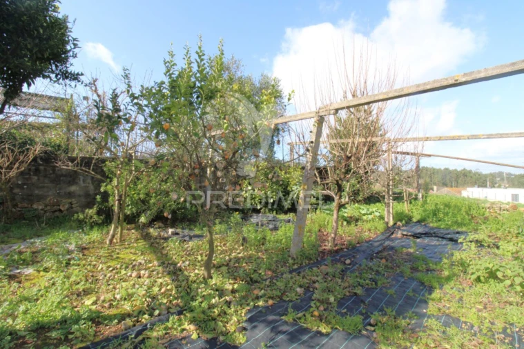 Moradia T4 para Venda em Coronado (São Romão e São Mamede) Foto 26