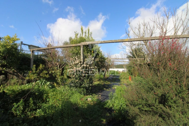 Moradia T4 para Venda em Coronado (São Romão e São Mamede) Foto 22