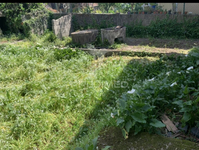 Moradia T3 para Venda em Vila Nova de Famalicão e Calendário Foto 12