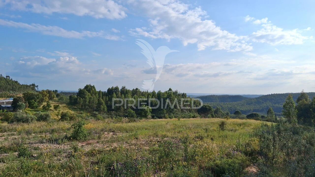 Moradia T2 para Venda em Mação, Penhascoso e Aboboreira Foto 27