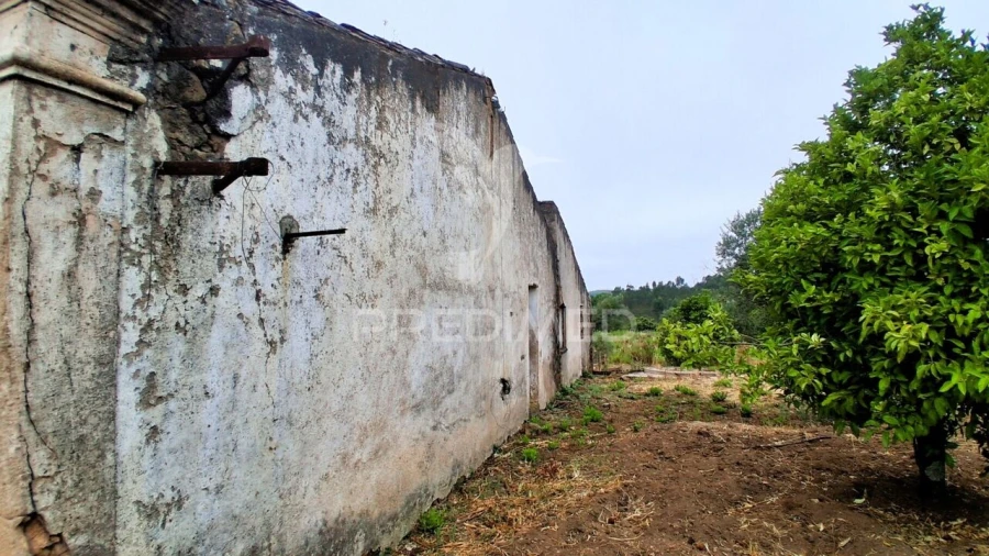 Moradia T2 para Venda em Mação, Penhascoso e Aboboreira Foto 15