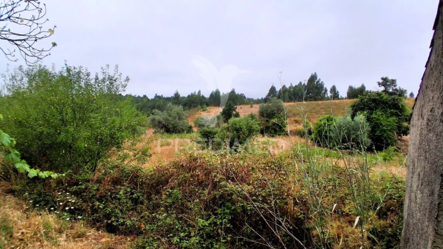 Moradia T2 para Venda em Mação, Penhascoso e Aboboreira Foto 25