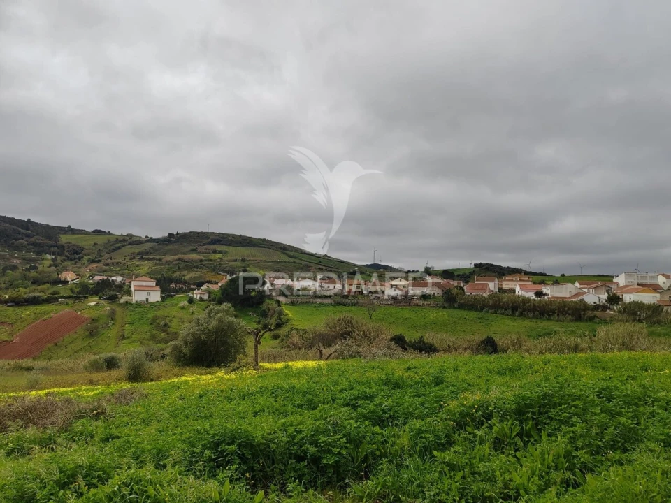 Terreno para Venda em Dois Portos e Runa Foto 9