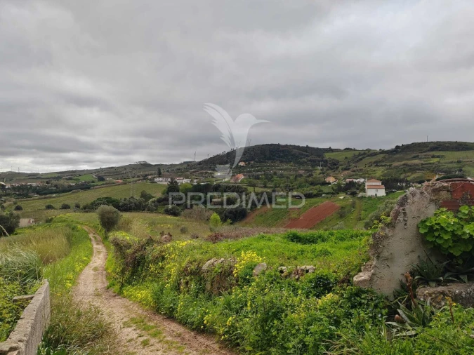 Terreno para Venda em Dois Portos e Runa Foto 8