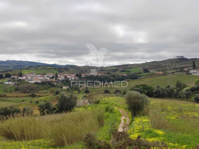 Terreno para Venda em Dois Portos e Runa Foto 11