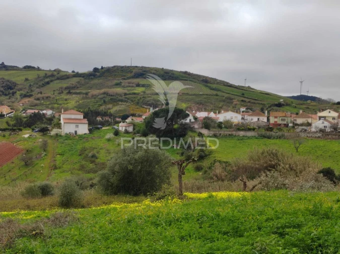 Terreno para Venda em Dois Portos e Runa Foto 12
