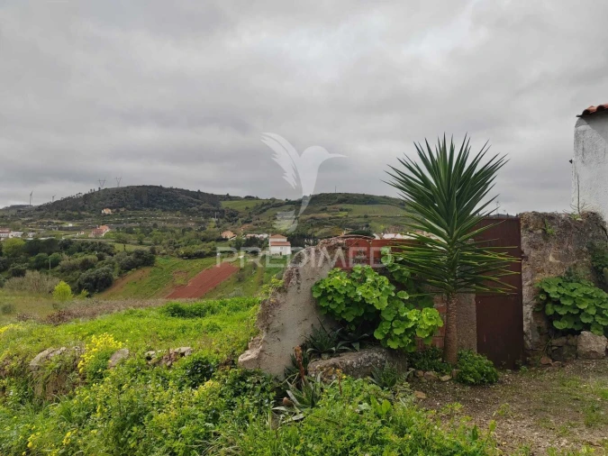 Terreno para Venda em Dois Portos e Runa Foto 6