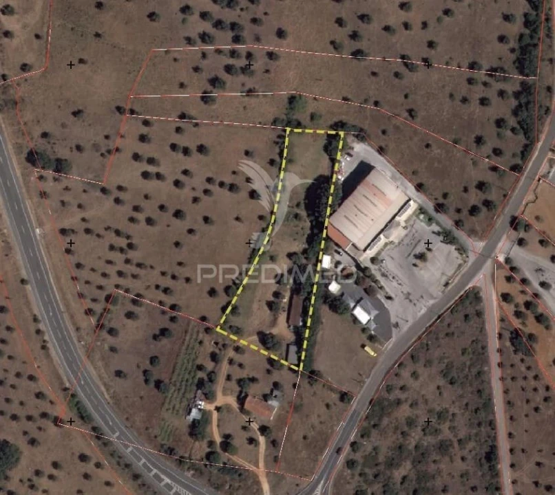 Terreno para Venda em Alcanena e Vila Moreira Foto 1