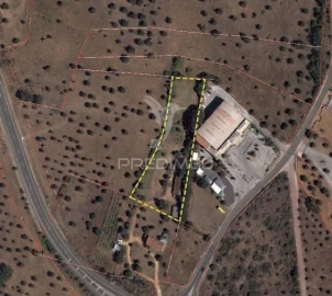 Terreno para Venda em Alcanena e Vila Moreira