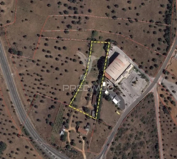 Terreno para Venda em Alcanena e Vila Moreira Foto 1