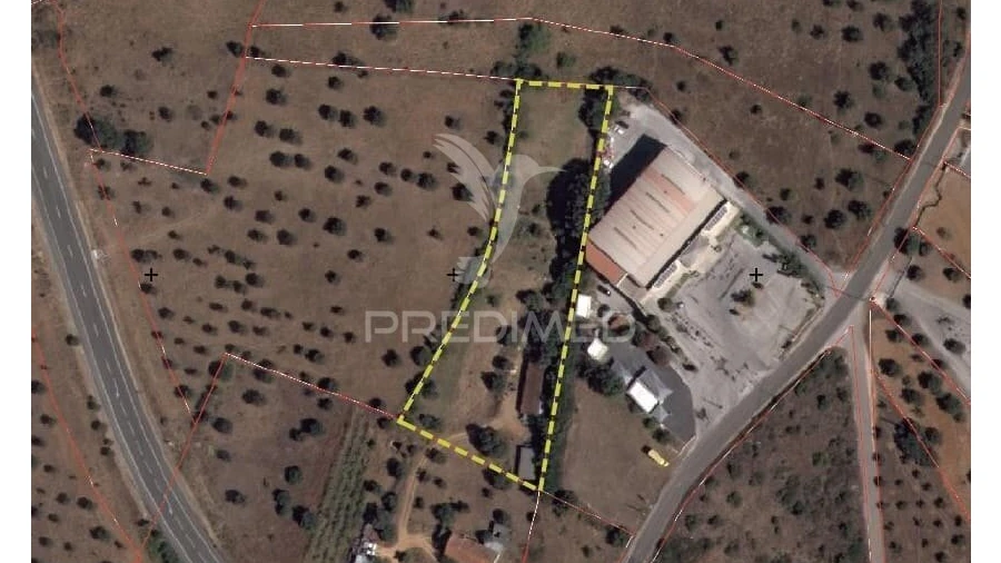 Terreno para Venda em Alcanena e Vila Moreira