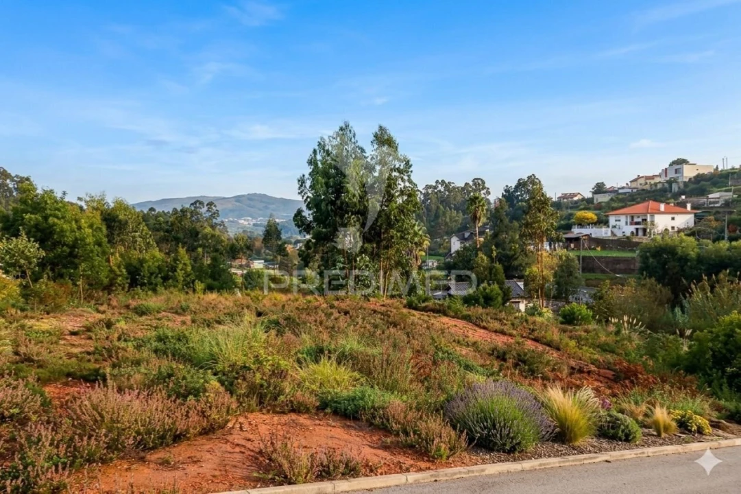 Terreno para Venda em Águeda e Borralha Foto 2