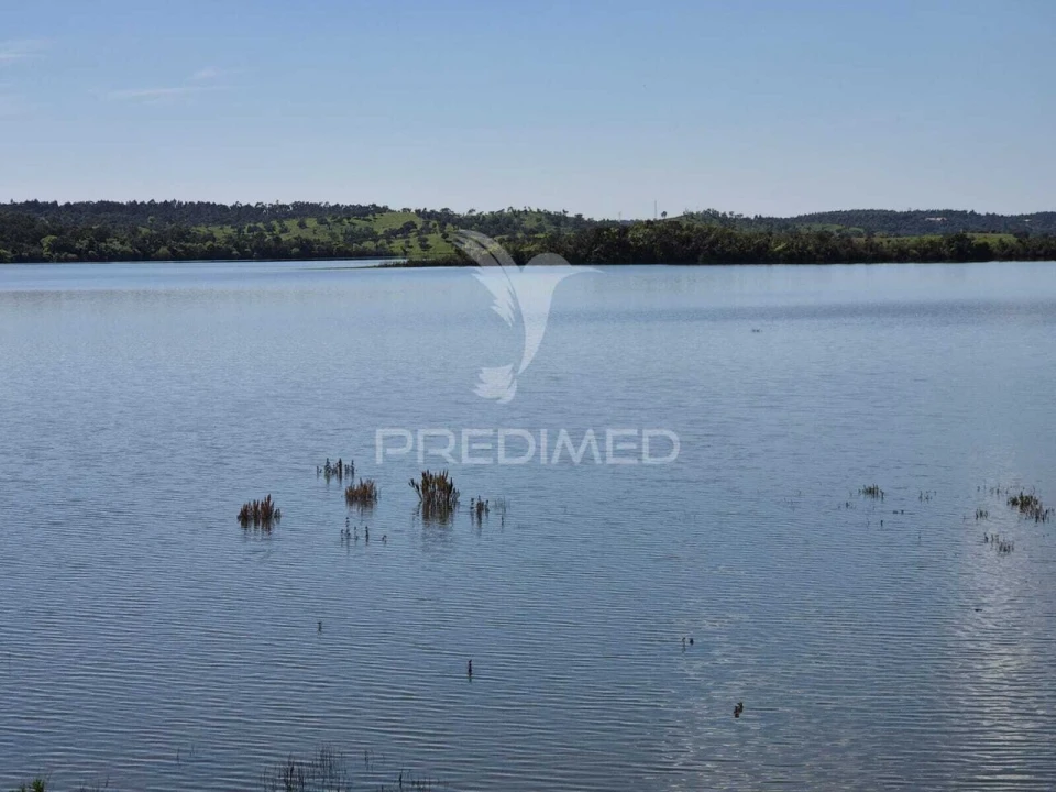 Terreno para Venda em São Domingos e Vale de Água Foto 4