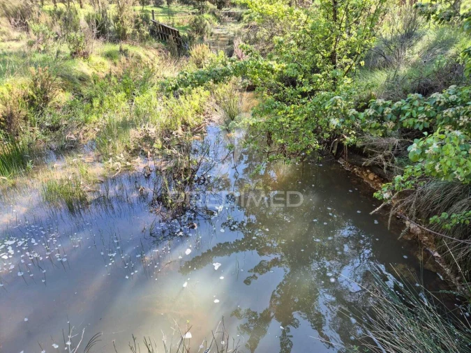 Terreno para Venda em São Domingos e Vale de Água Foto 6