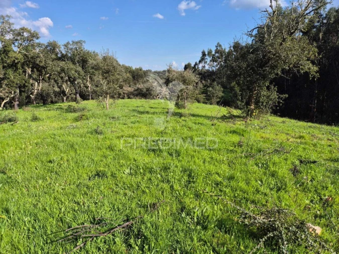 Terreno para Venda em São Domingos e Vale de Água Foto 7