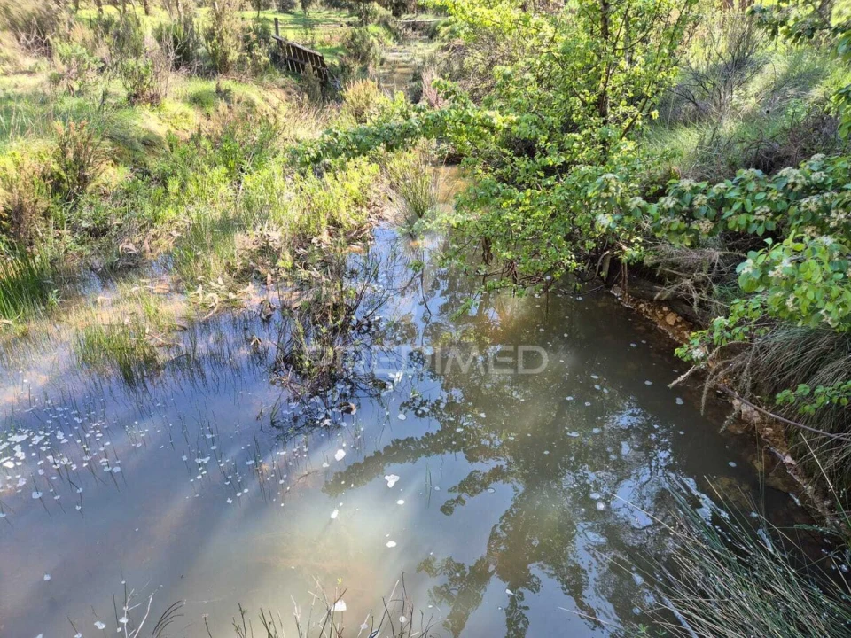 Terreno para Venda em São Domingos e Vale de Água Foto 6