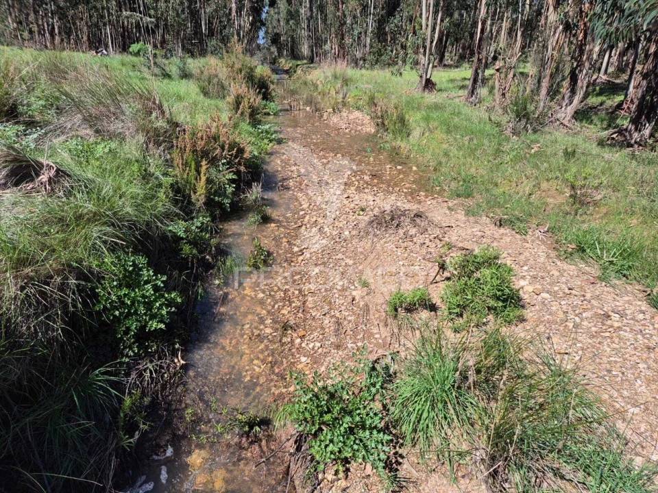 Terreno para Venda em São Domingos e Vale de Água Foto 5