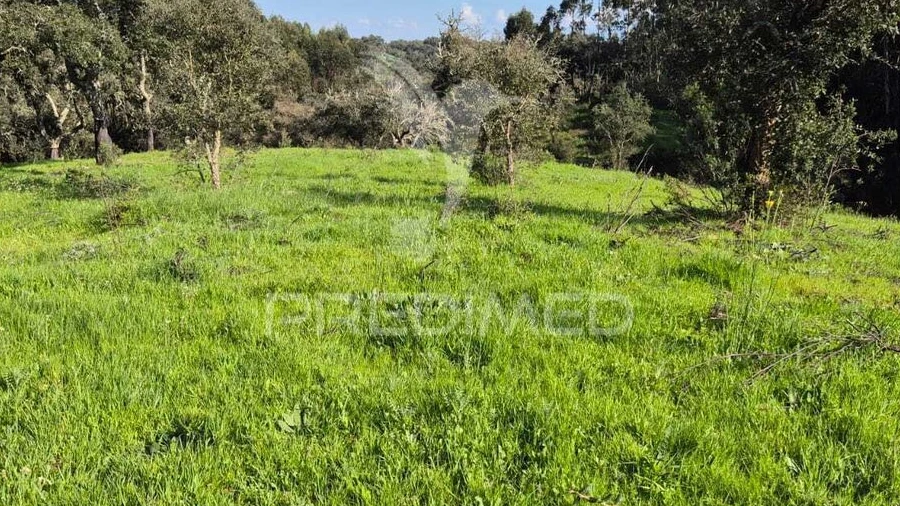 Terreno para Venda em São Domingos e Vale de Água