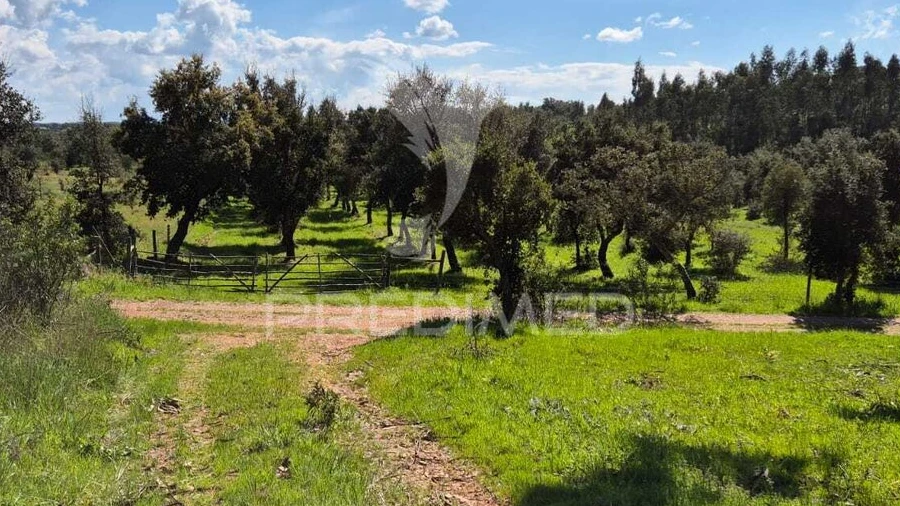 Terreno para Venda em São Domingos e Vale de Água