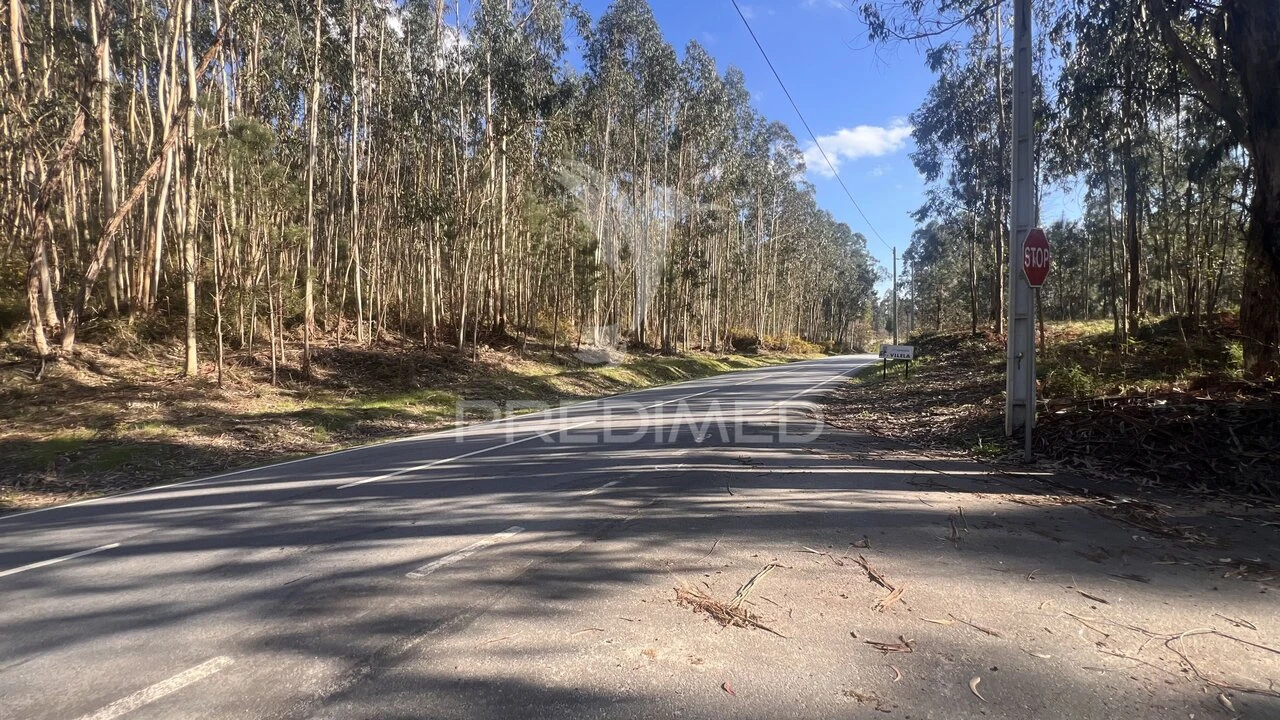 Terreno para Venda em Vilela, São Cosme e São Damião e Sá Foto 20