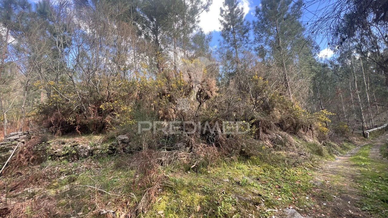 Terreno para Venda em Vilela, São Cosme e São Damião e Sá Foto 8