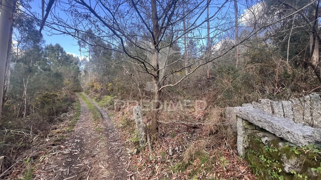 Terreno para Venda em Vilela, São Cosme e São Damião e Sá Foto 11