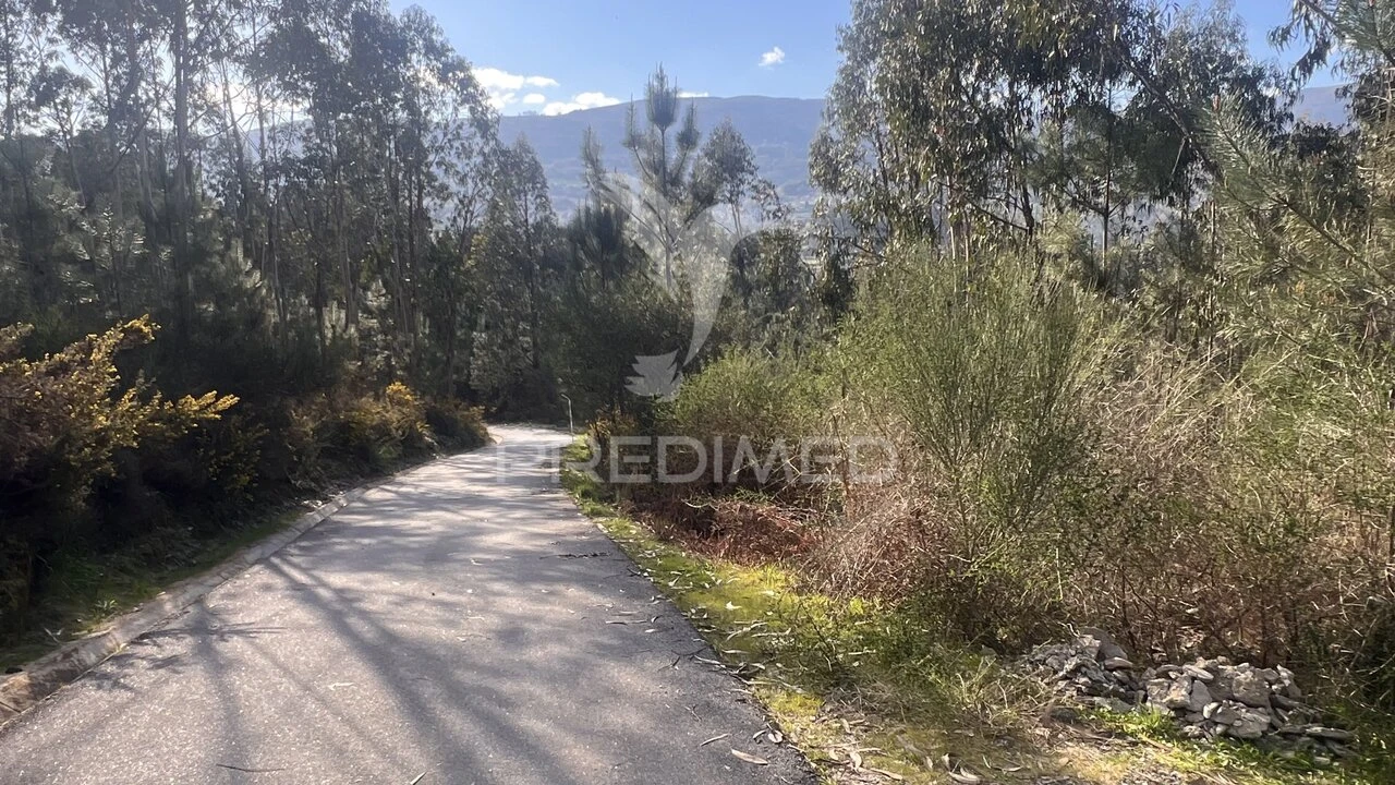 Terreno para Venda em Vilela, São Cosme e São Damião e Sá Foto 2