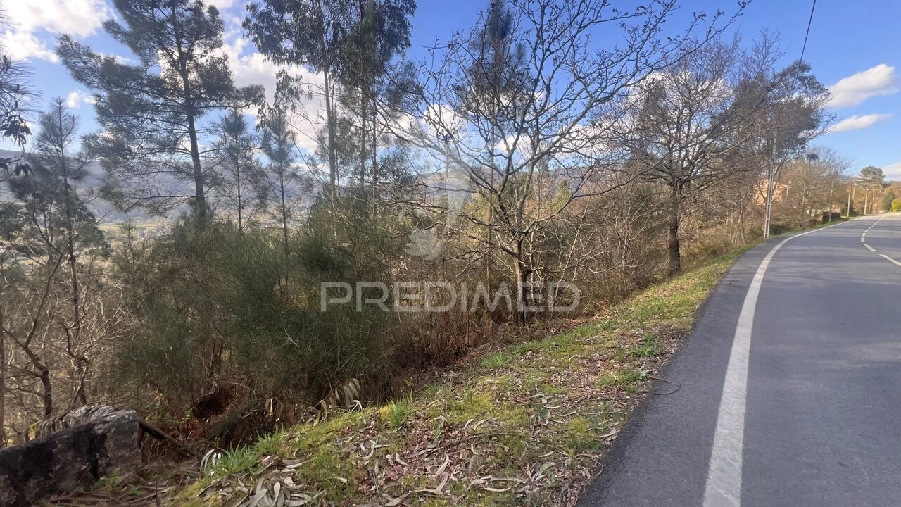 Terreno para Venda em Vilela, São Cosme e São Damião e Sá Foto 26