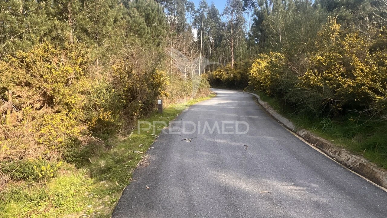 Terreno para Venda em Vilela, São Cosme e São Damião e Sá Foto 30