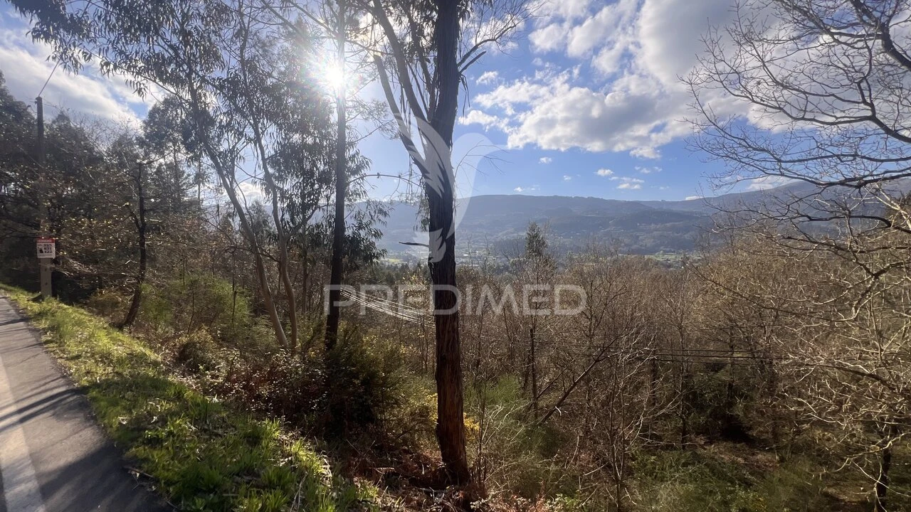 Terreno para Venda em Vilela, São Cosme e São Damião e Sá Foto 1