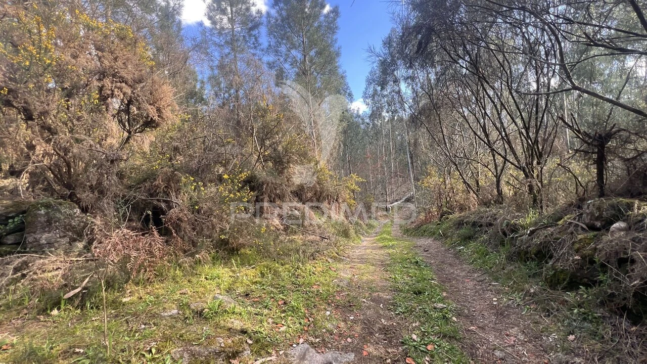 Terreno para Venda em Vilela, São Cosme e São Damião e Sá Foto 9