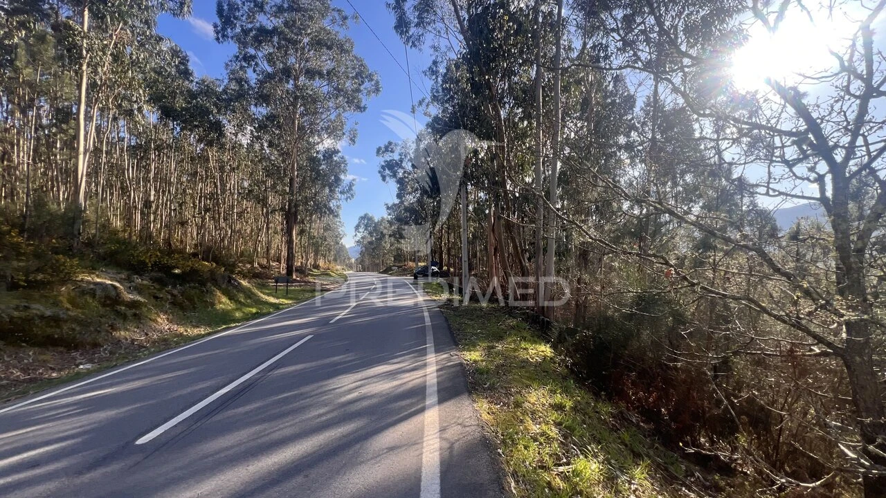 Terreno para Venda em Vilela, São Cosme e São Damião e Sá Foto 21