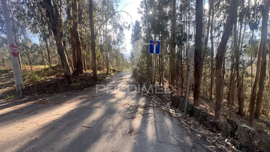 Terreno para Venda em Vilela, São Cosme e São Damião e Sá Foto 23