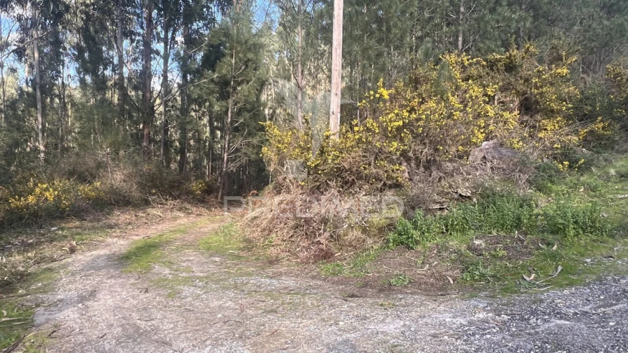 Terreno para Venda em Vilela, São Cosme e São Damião e Sá Foto 24