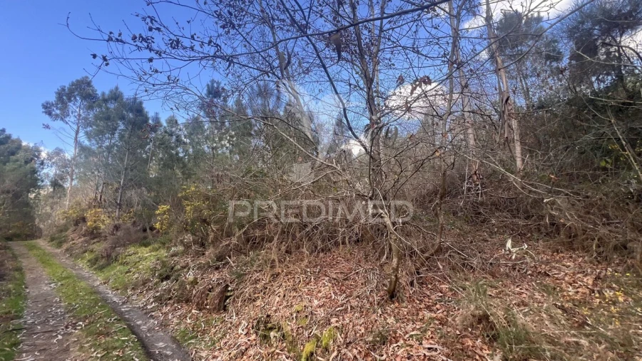 Terreno para Venda em Vilela, São Cosme e São Damião e Sá Foto 12