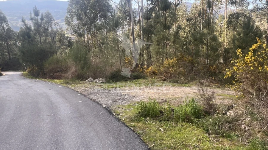 Terreno para Venda em Vilela, São Cosme e São Damião e Sá Foto 3