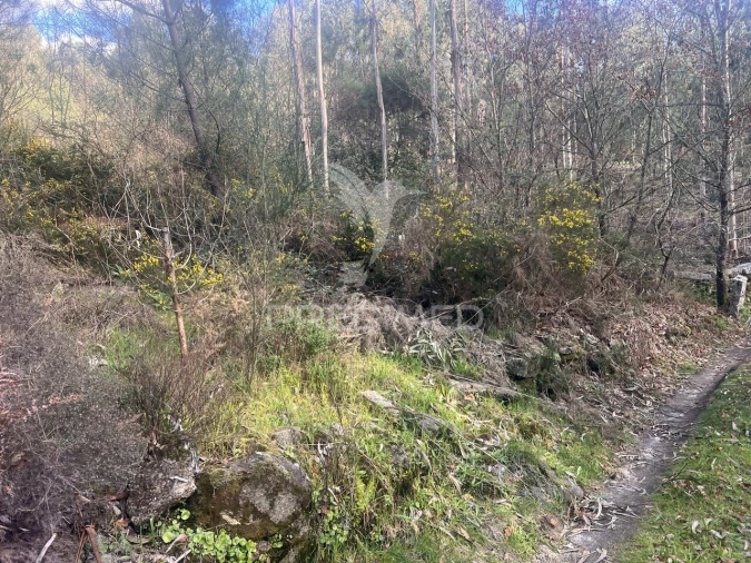 Terreno para Venda em Vilela, São Cosme e São Damião e Sá Foto 28