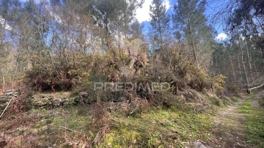 Terreno para Venda em Vilela, São Cosme e São Damião e Sá Foto 8