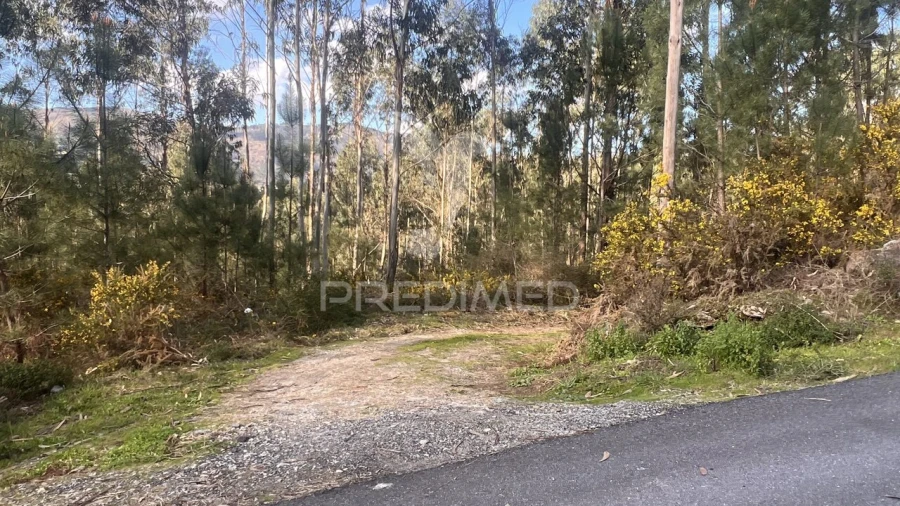 Terreno para Venda em Vilela, São Cosme e São Damião e Sá Foto 25