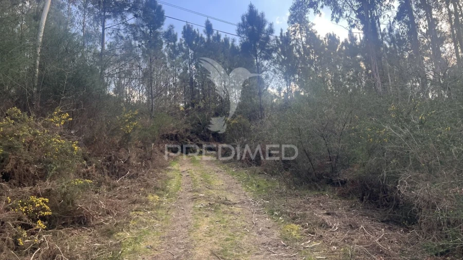 Terreno para Venda em Vilela, São Cosme e São Damião e Sá Foto 22