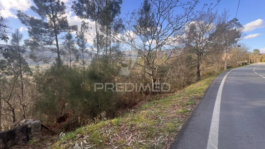Terreno para Venda em Vilela, São Cosme e São Damião e Sá Foto 26