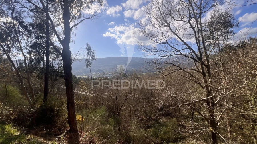 Terreno para Venda em Vilela, São Cosme e São Damião e Sá Foto 19